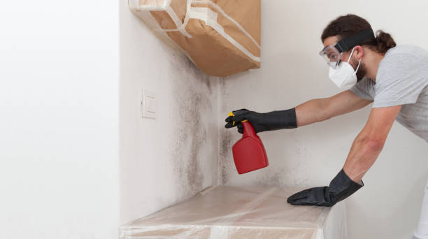 Professional Crawl Space Mold Remediation technician working in Bridgeport, NY